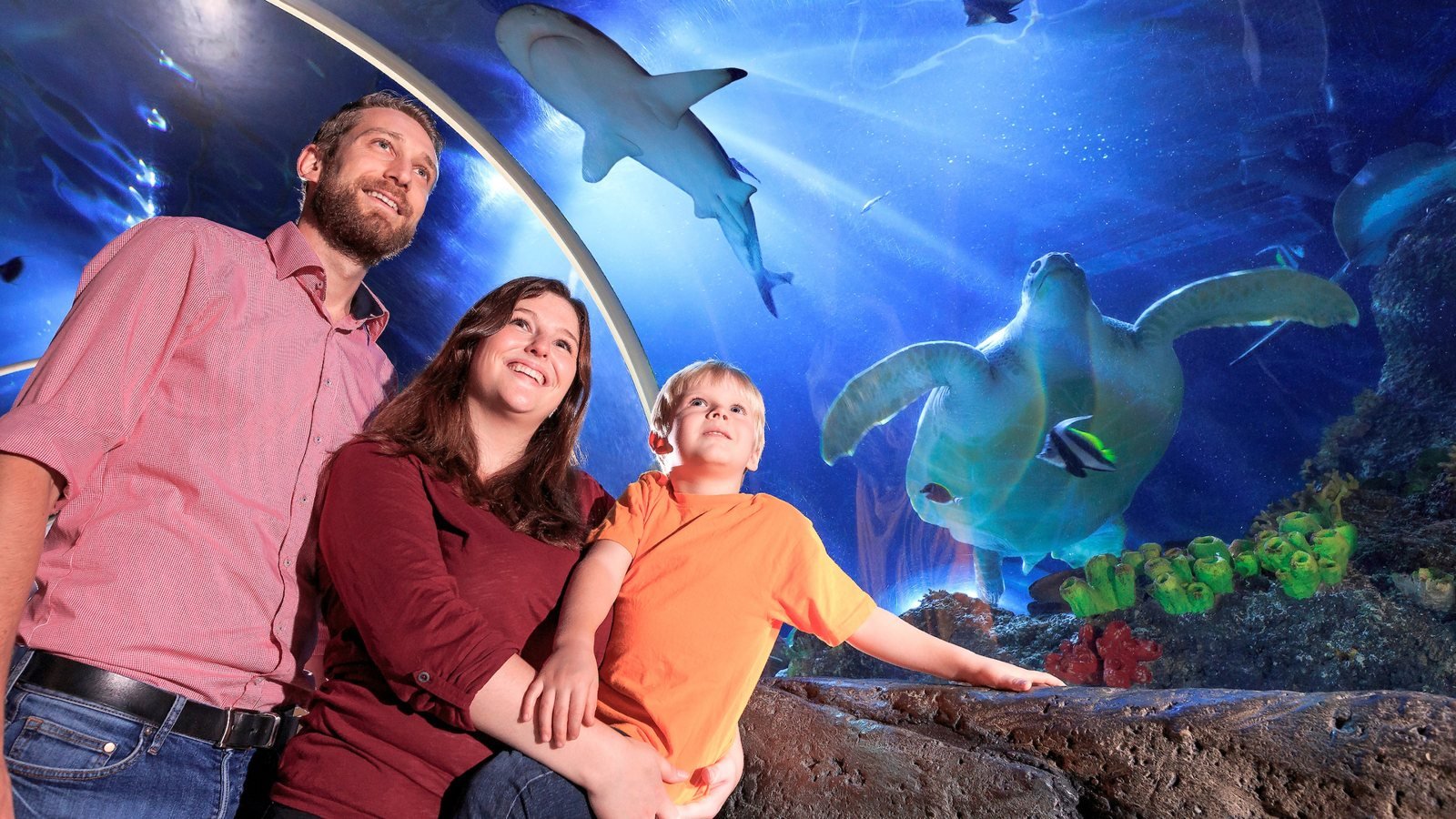 SEA LIFE Konstanz Aquarium Ticket