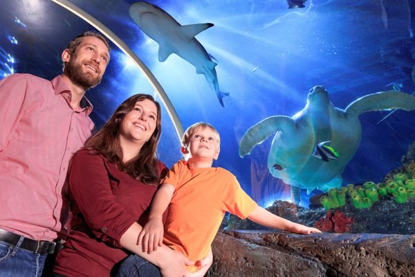 SEA LIFE Konstanz Aquarium Ticket | Book Online