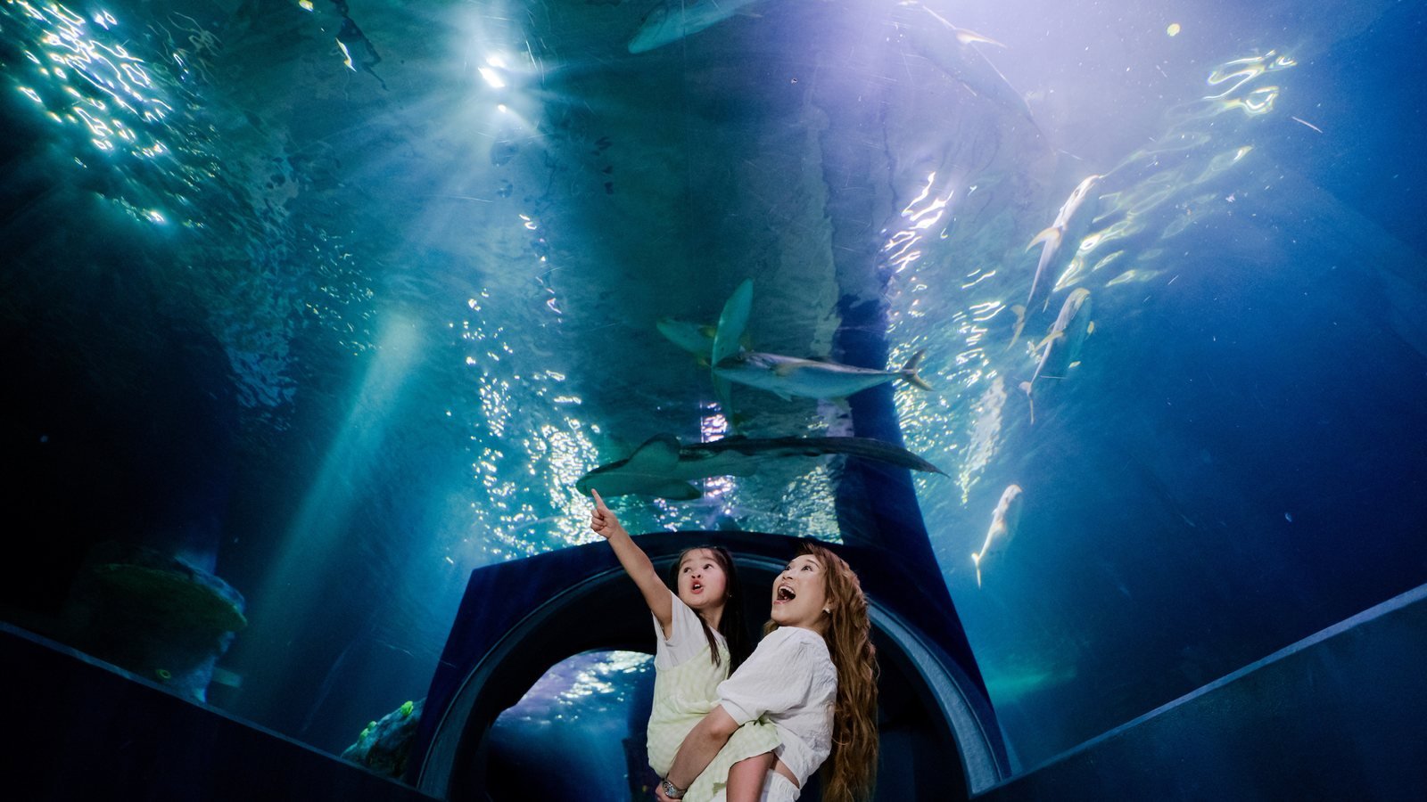 SEA LIFE Melbourne Aquarium Direct Entry Ticket