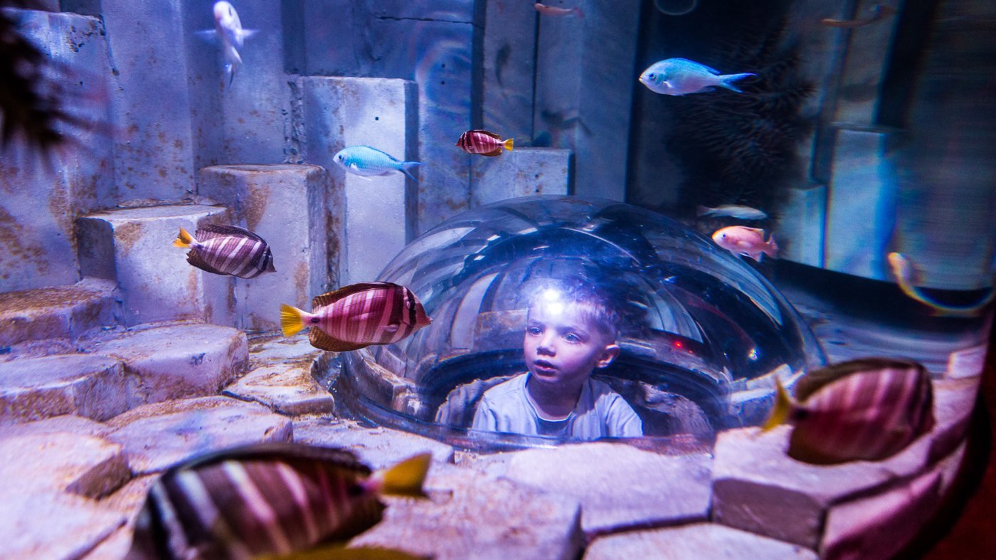 SEA LIFE Melbourne Aquarium Direct Entry Ticket