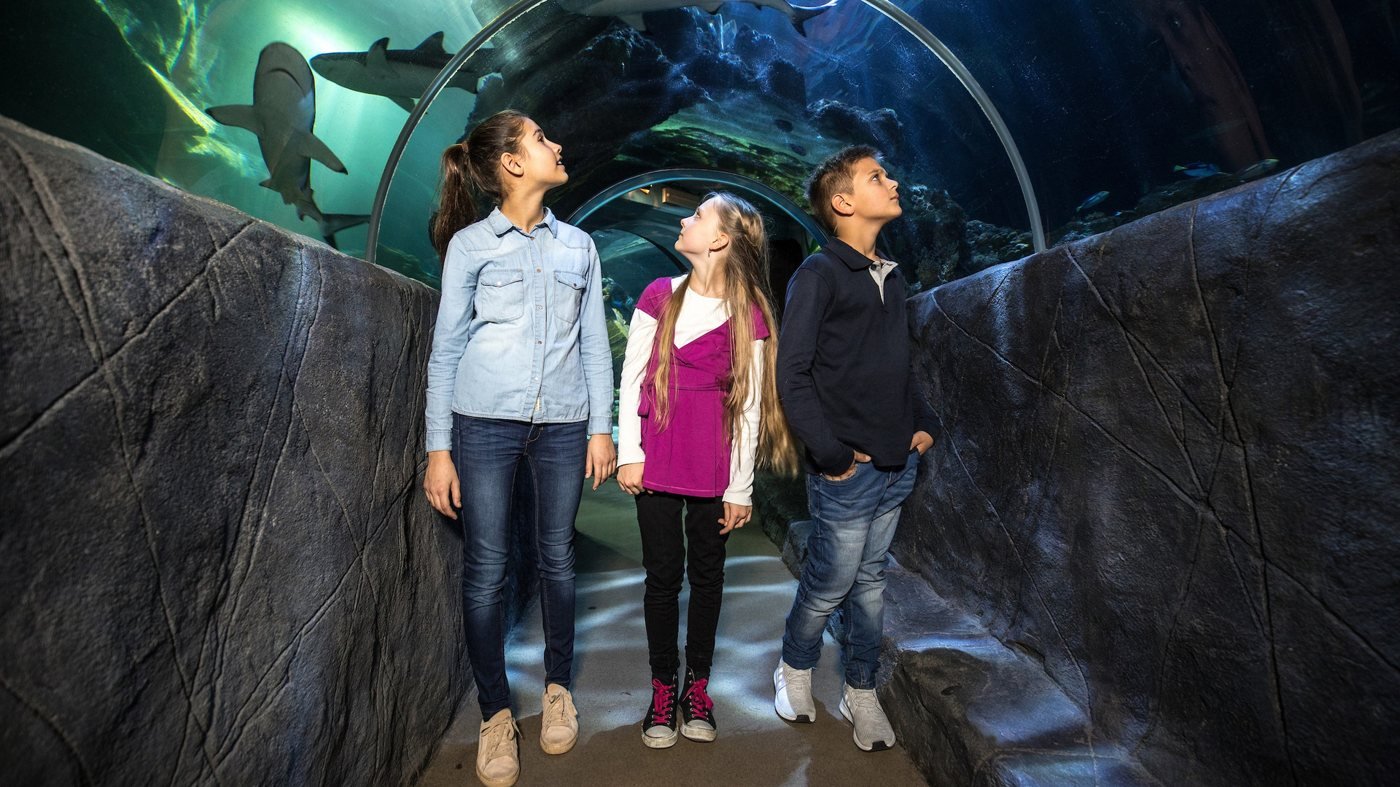 SEA LIFE Munich Aquarium Ticket