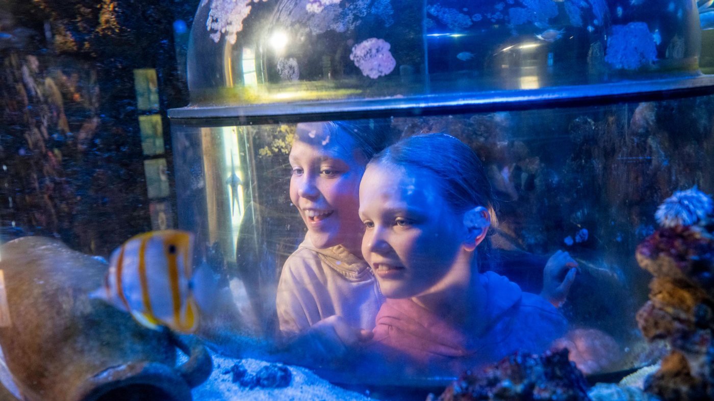 SEA LIFE Munich Aquarium Ticket