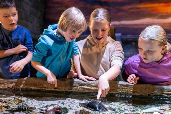 SEA LIFE Munich Aquarium Ticket | Book Online
