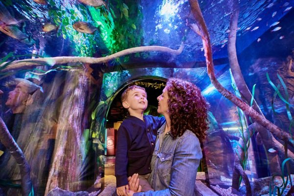 SEA LIFE New Jersey Aquarium East Rutherford Tickets | Book Online
