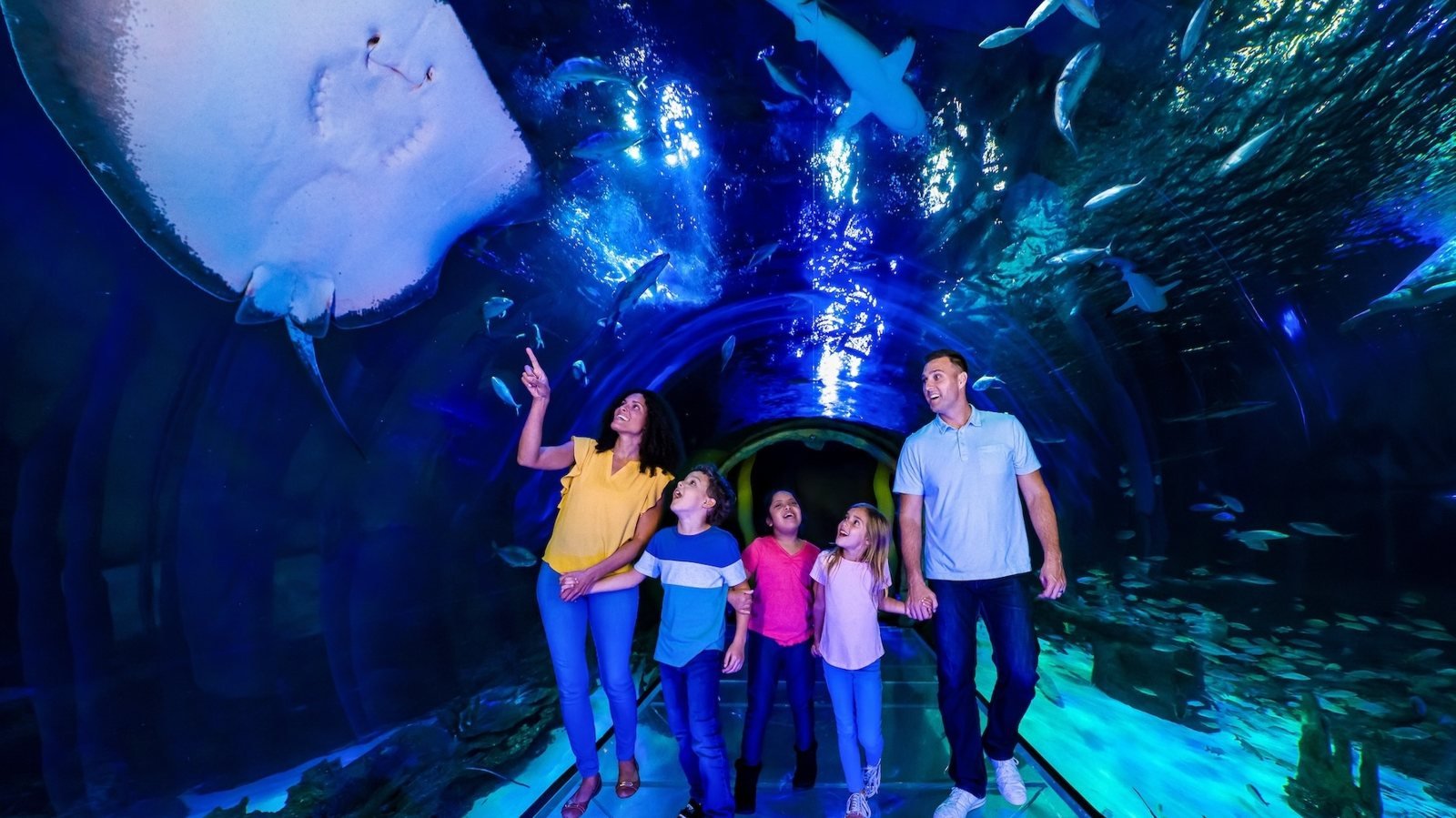 SEA LIFE Orlando Aquarium Ticket