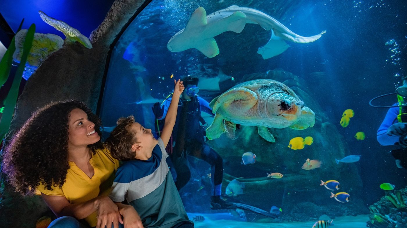 SEA LIFE Orlando Aquarium Ticket