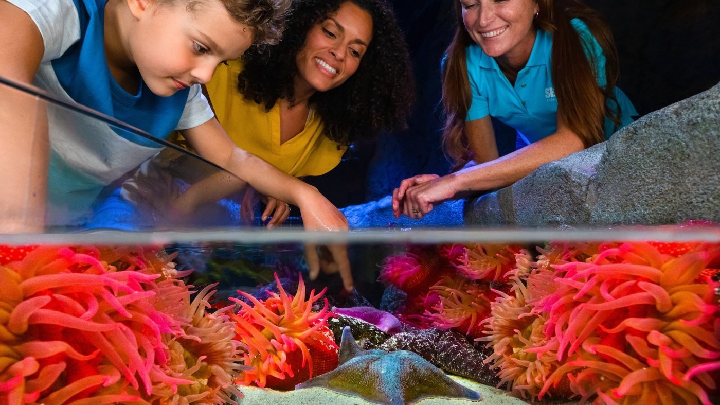 SEA LIFE Orlando Aquarium Ticket
