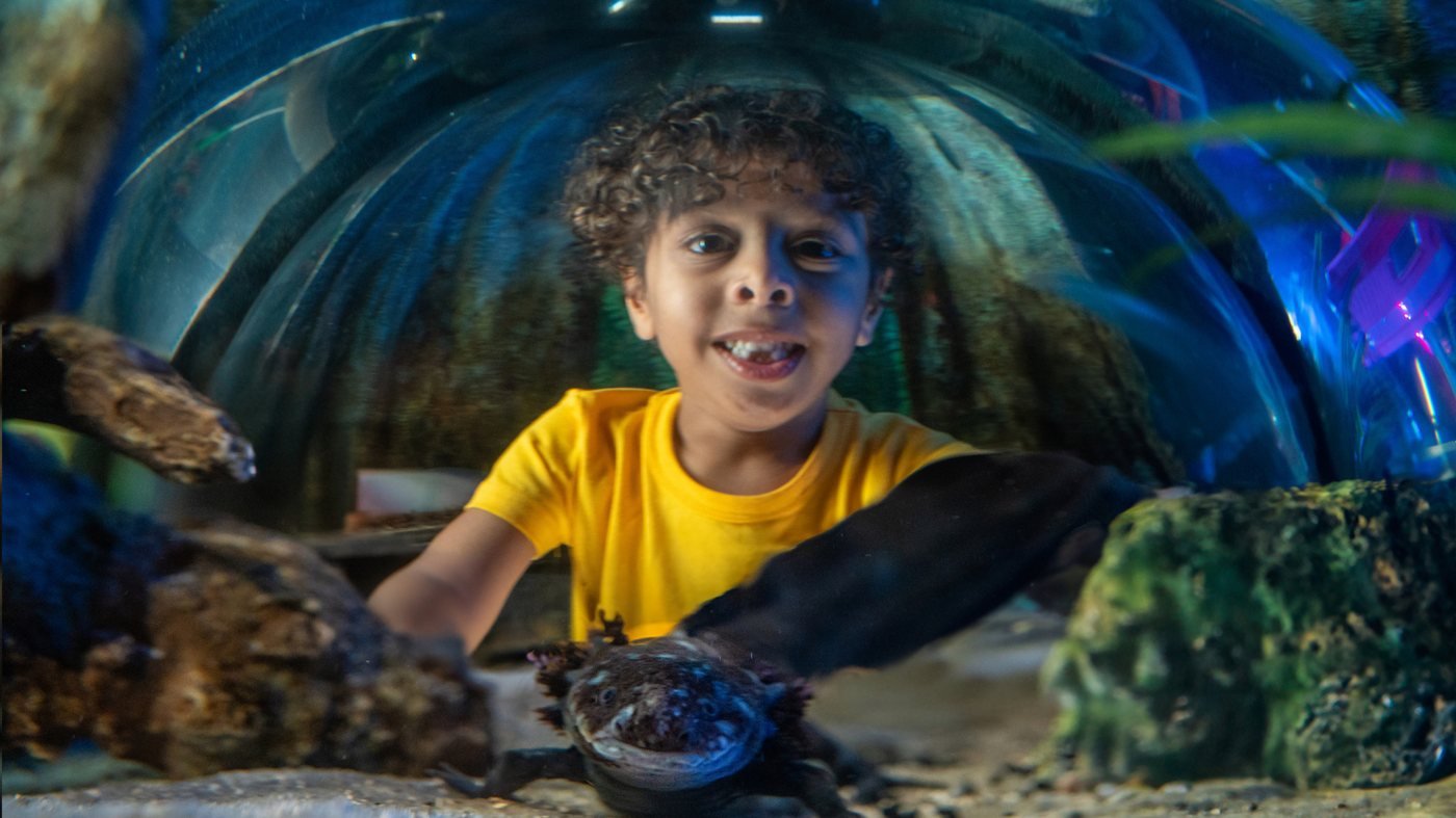 SEA LIFE Orlando Aquarium Ticket