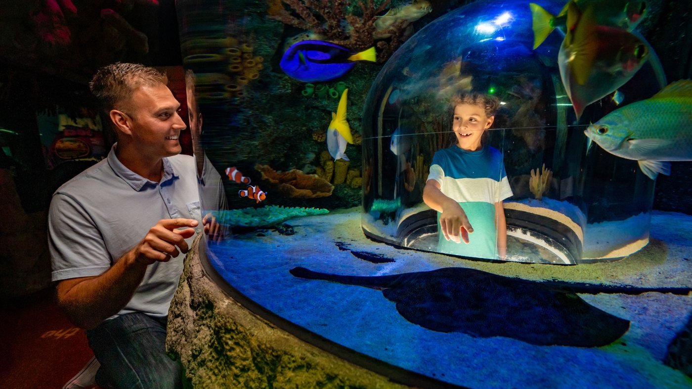 SEA LIFE Orlando Aquarium Ticket