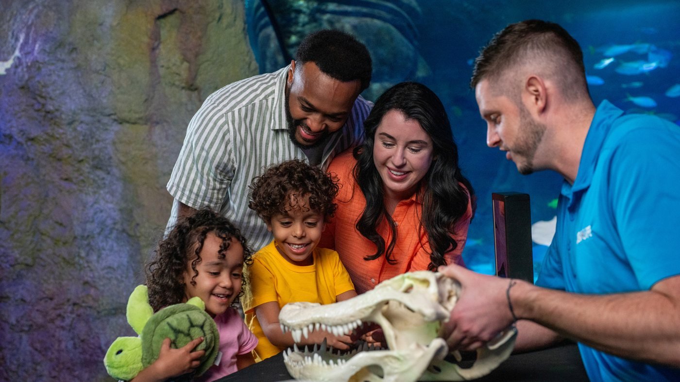 SEA LIFE Orlando Aquarium Ticket
