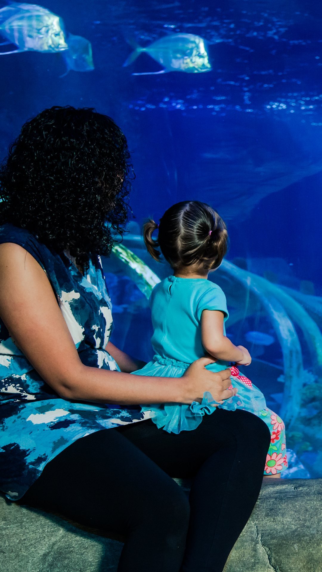 SEA LIFE Paris Aquarium Ticket
