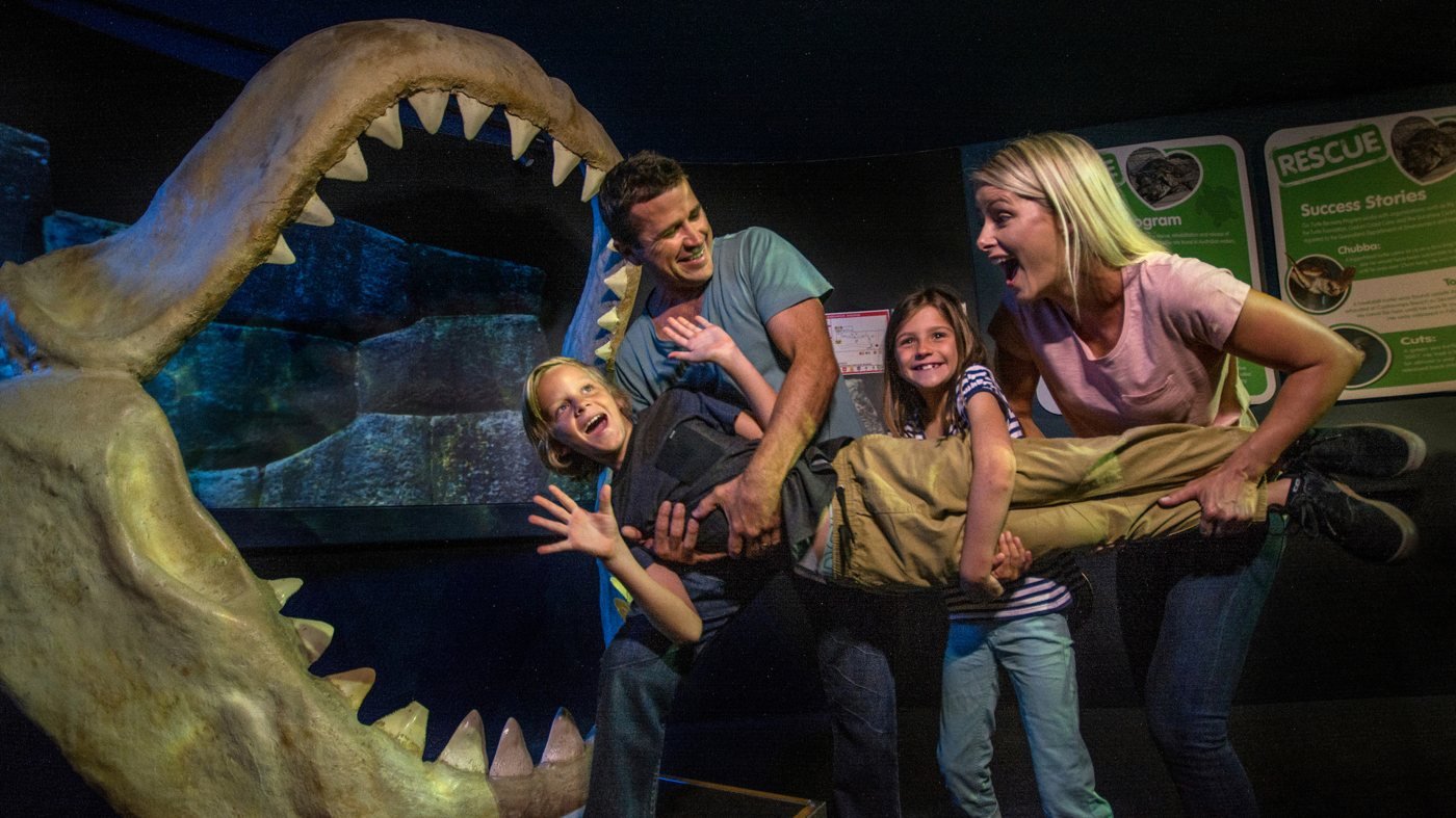 SEA LIFE Sunshine Coast Aquarium Direct Entry Ticket
