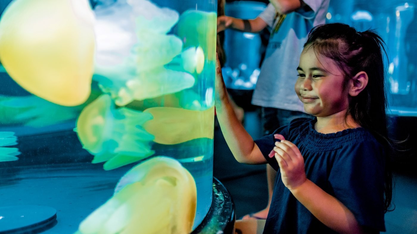 SEA LIFE Sydney Aquarium Direct Entry Ticket