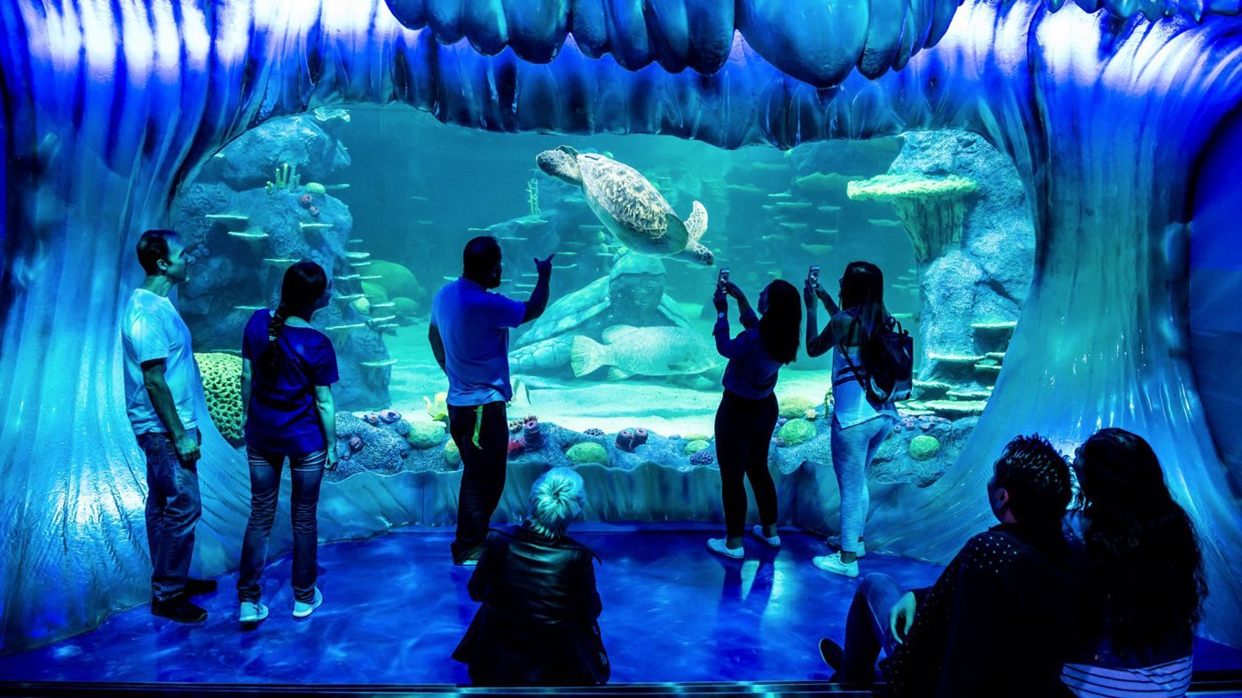 SEA LIFE Sydney Aquarium Direct Entry Ticket