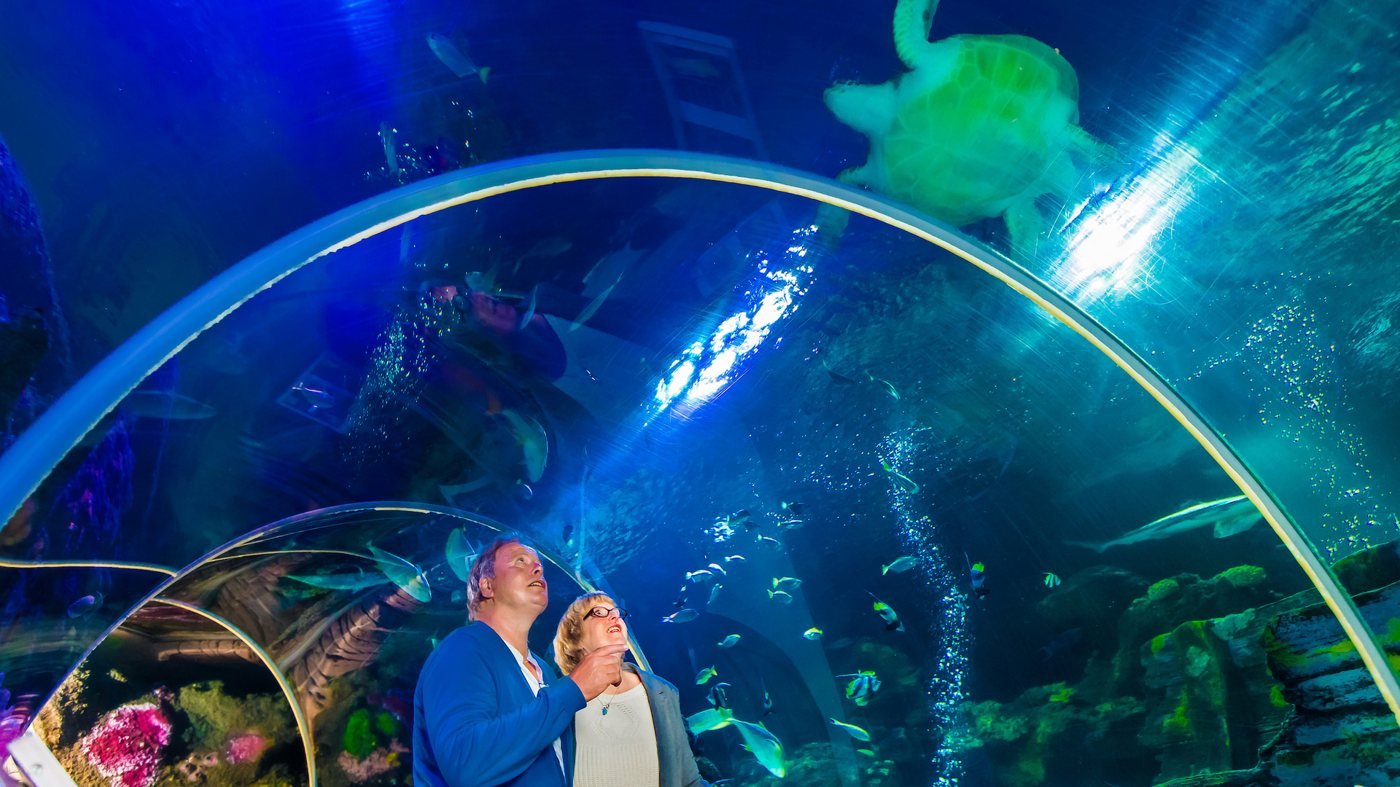 SEA LIFE Timmendorfer Strand Aquarium Ticket
