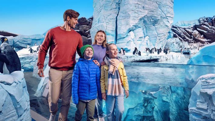 SeaWorld Abu Dhabi Tickets – World’s Largest Indoor Marine Life Theme Park
