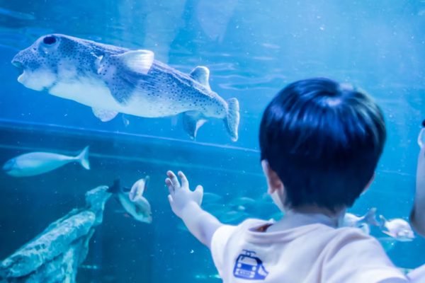 Shinagawa Aquarium Shinagawa City Tickets | Book Online