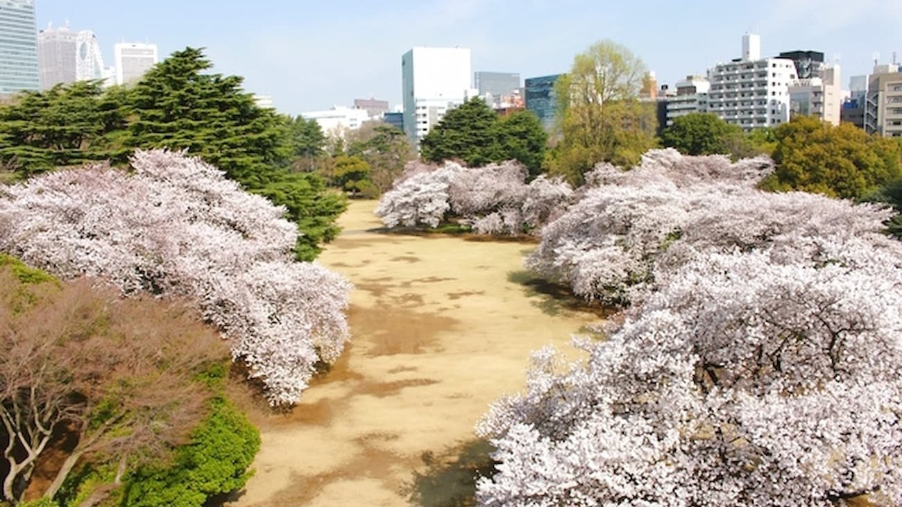 Shinjuku Gyoen National Garden Ticket