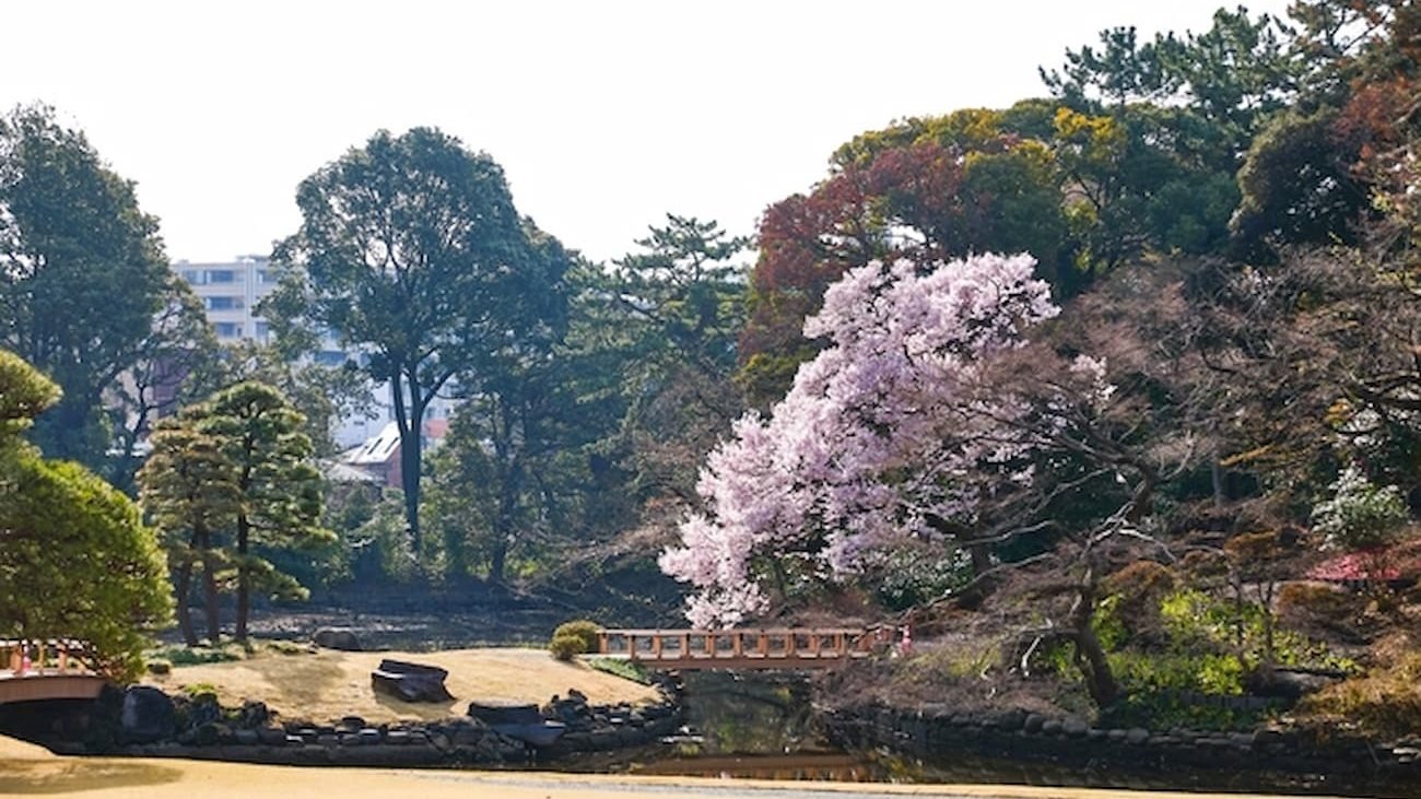 Shinjuku Gyoen National Garden Ticket