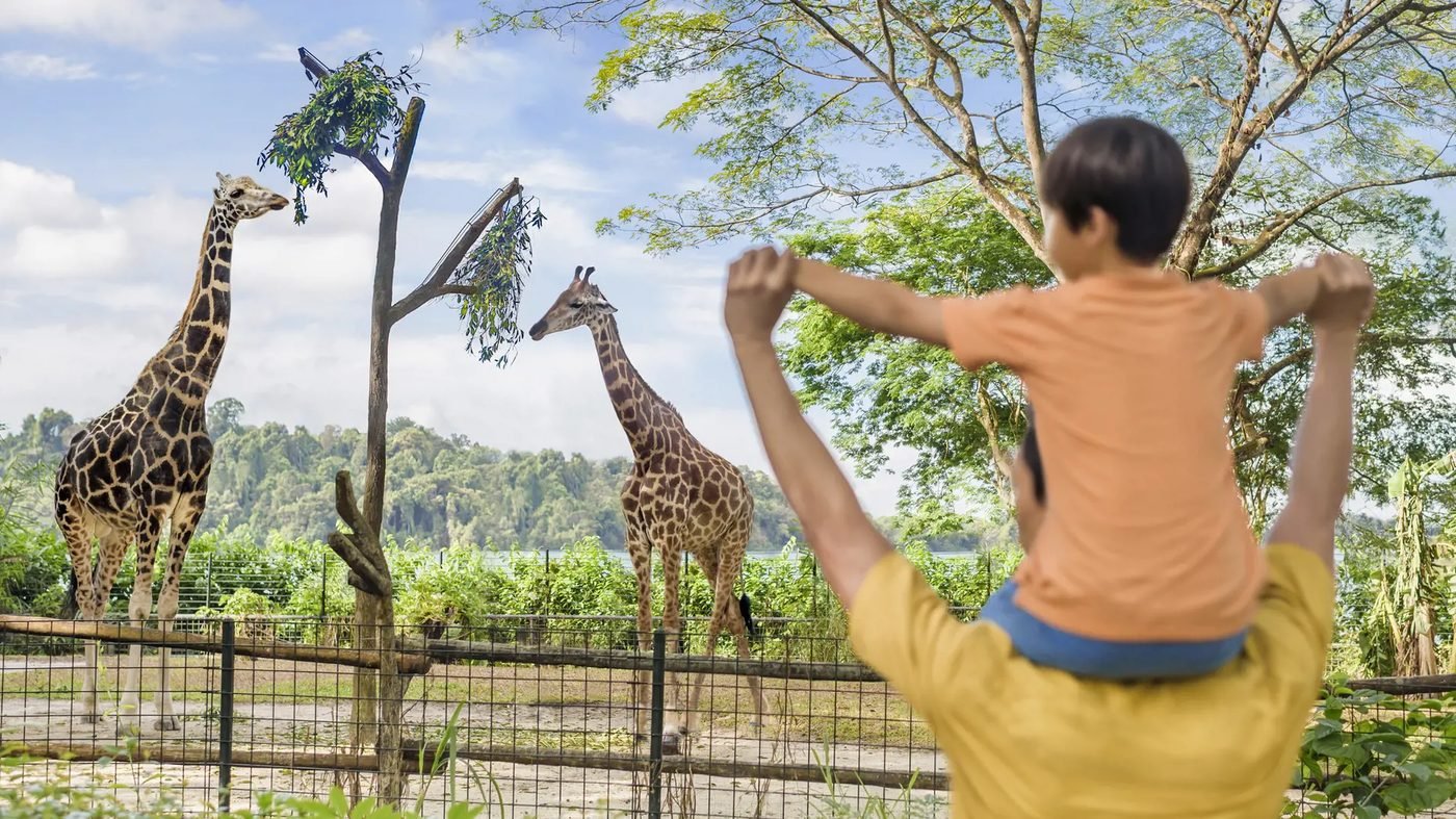 Singapore Zoo Tickets | Wildlife & Tram Rides