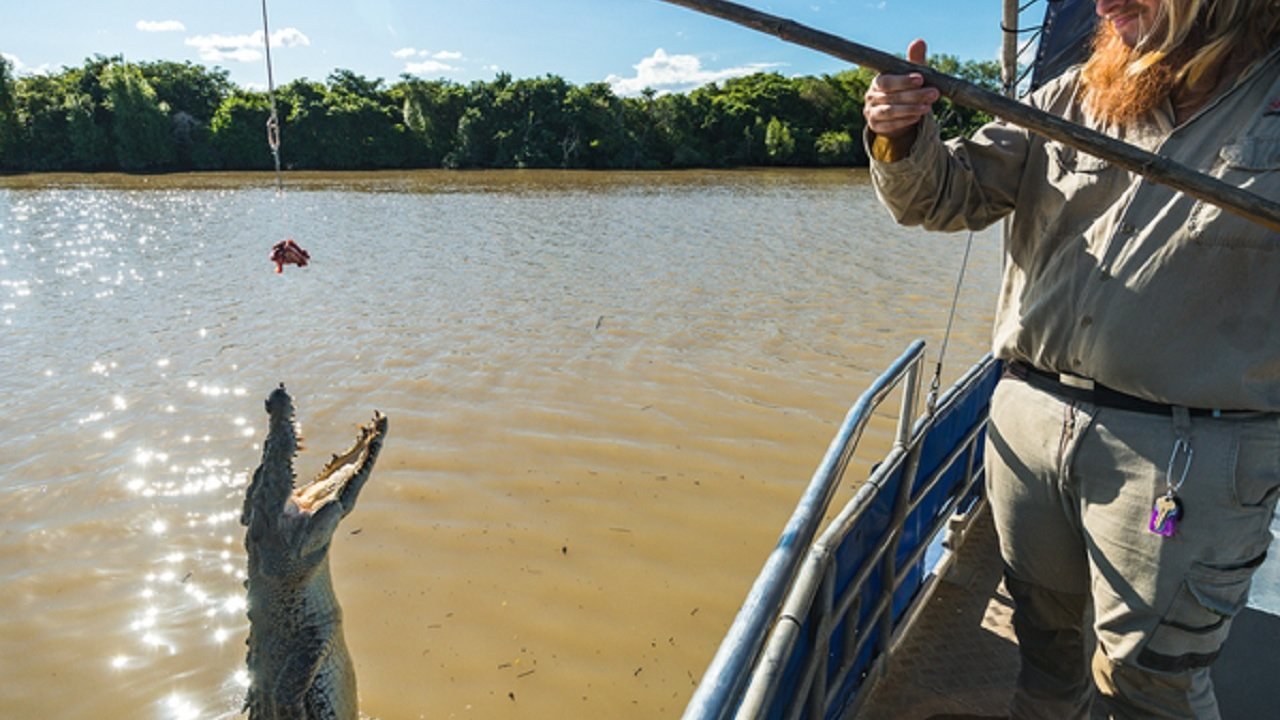Spectacular Jumping Crocodile Cruise