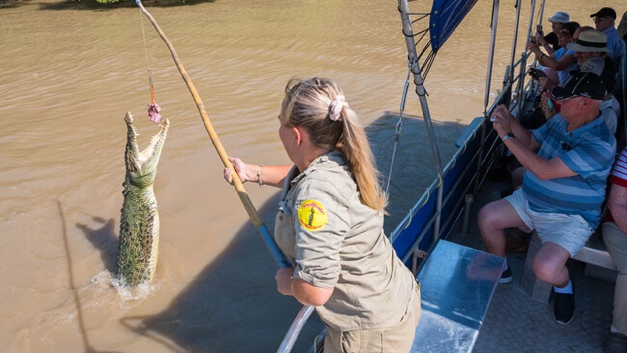 Spectacular Jumping Crocodile Cruise