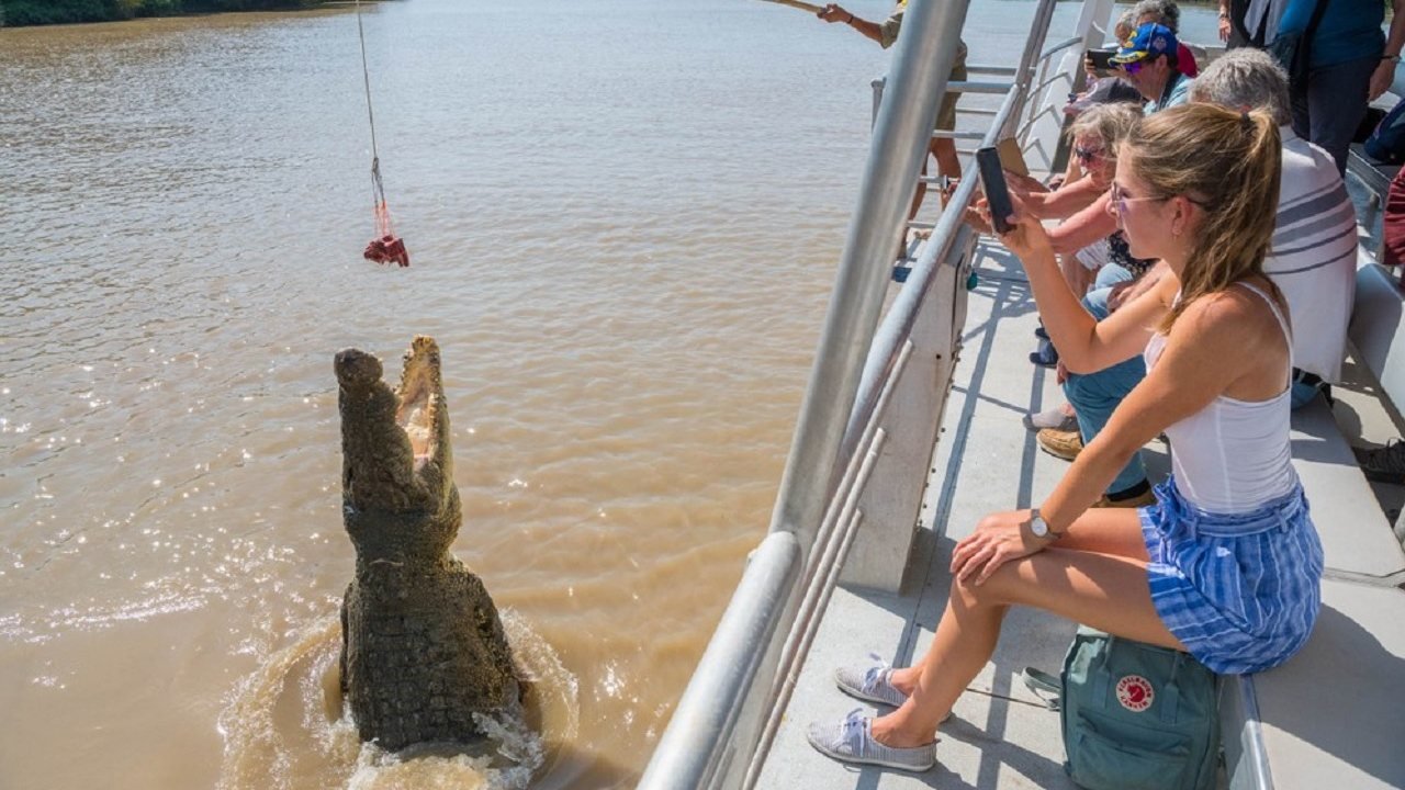 Spectacular Jumping Crocodile Cruise