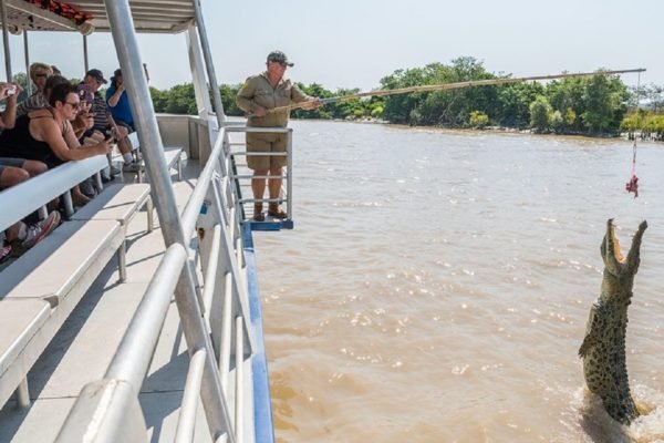 Spectacular Jumping Crocodile Cruise Middle Point Tickets | Book Online