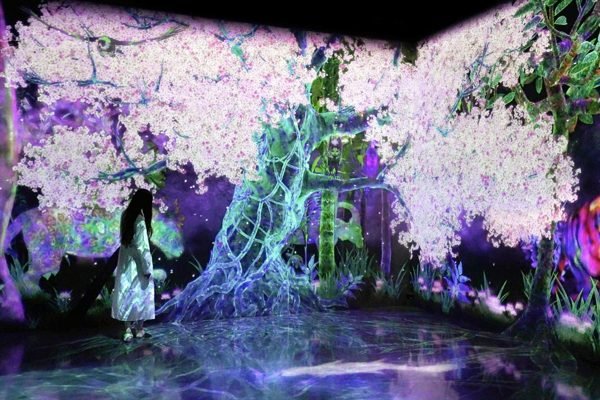 teamLab Forest Fukuoka Tickets | Book Online