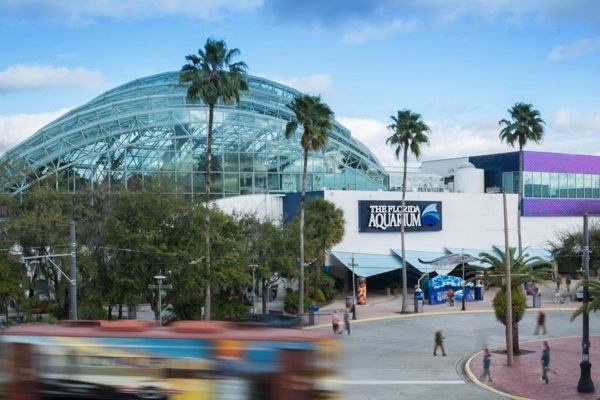 The Florida Aquarium Tampa Tickets | Book Online