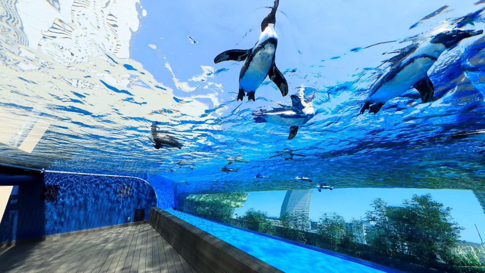 Tokyo Sunshine Aquarium