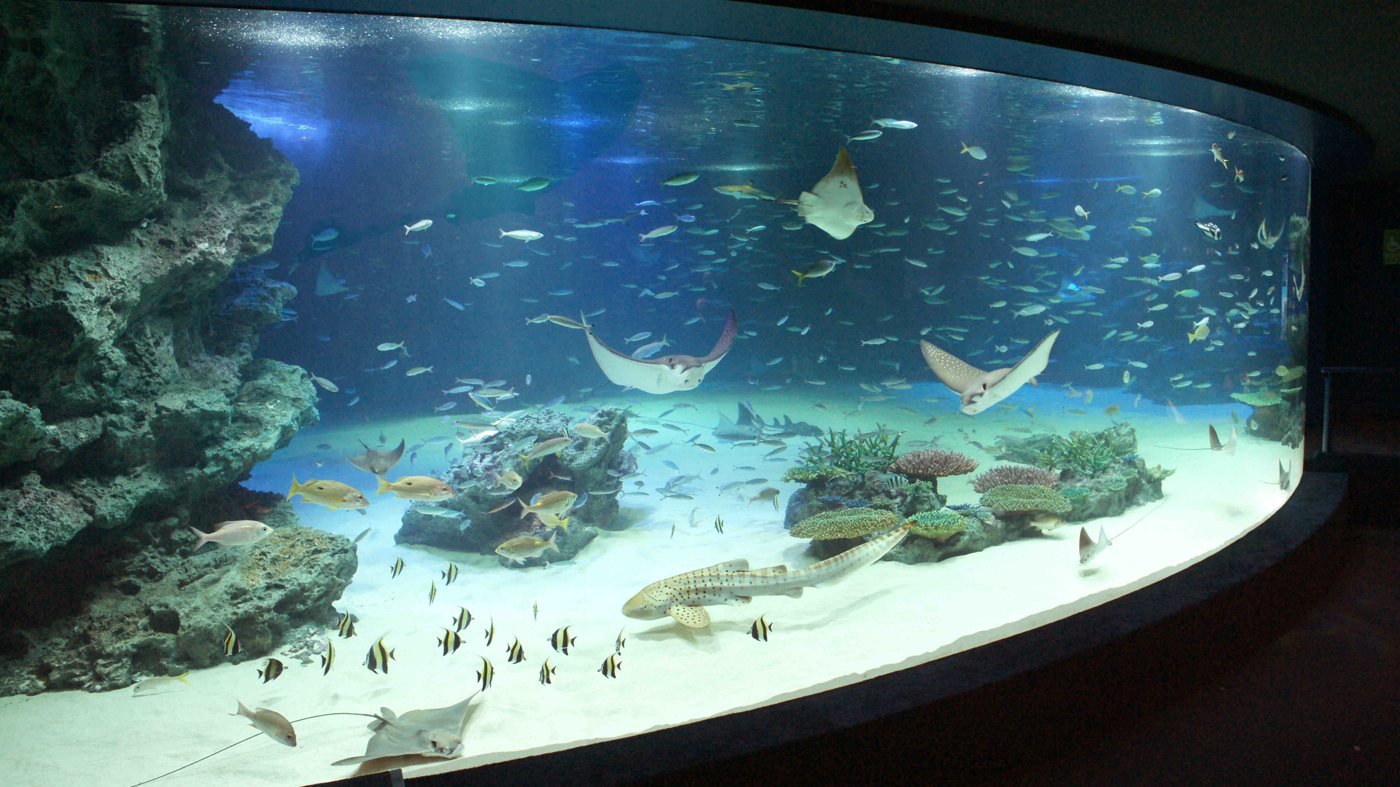 Tokyo Sunshine Aquarium