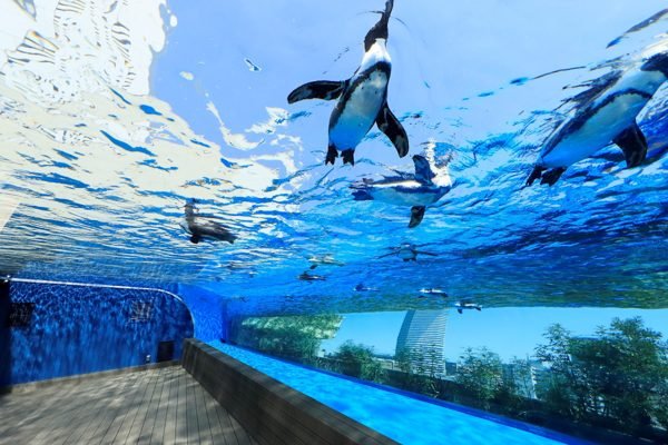 Tokyo Sunshine Aquarium Tickets | Book Online