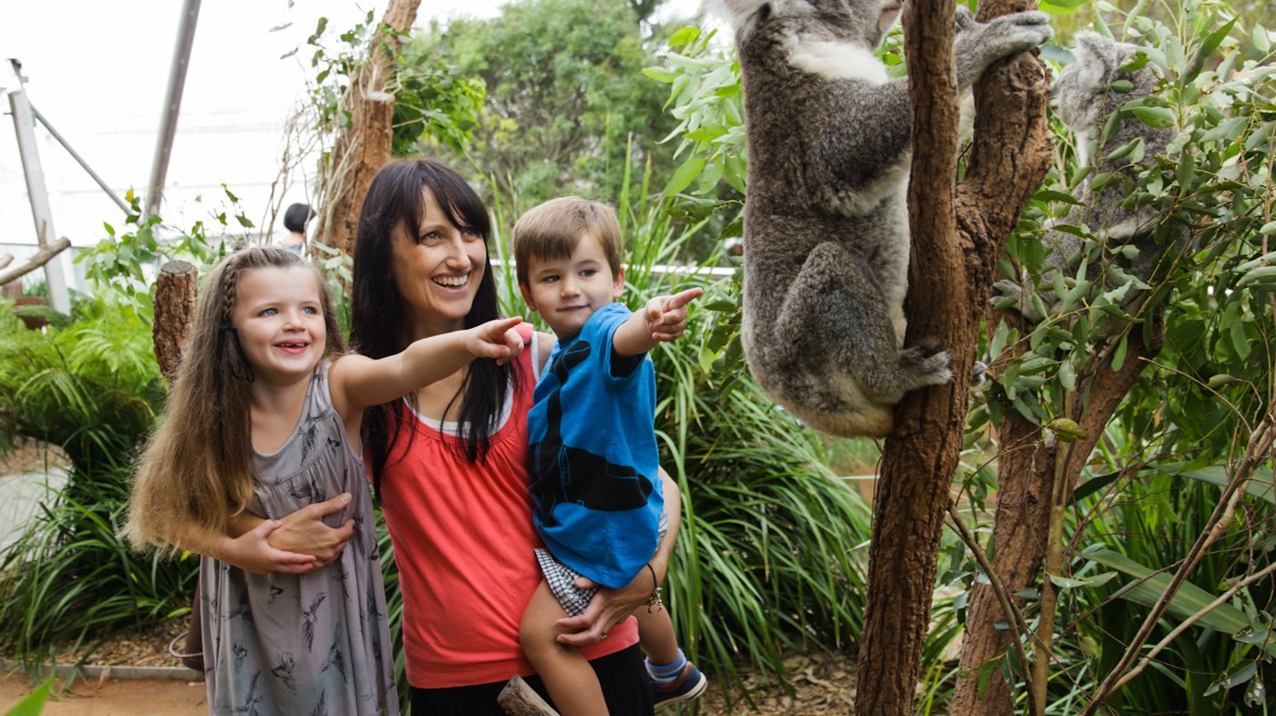 WILD LIFE Sydney Zoo Direct Entry Ticket