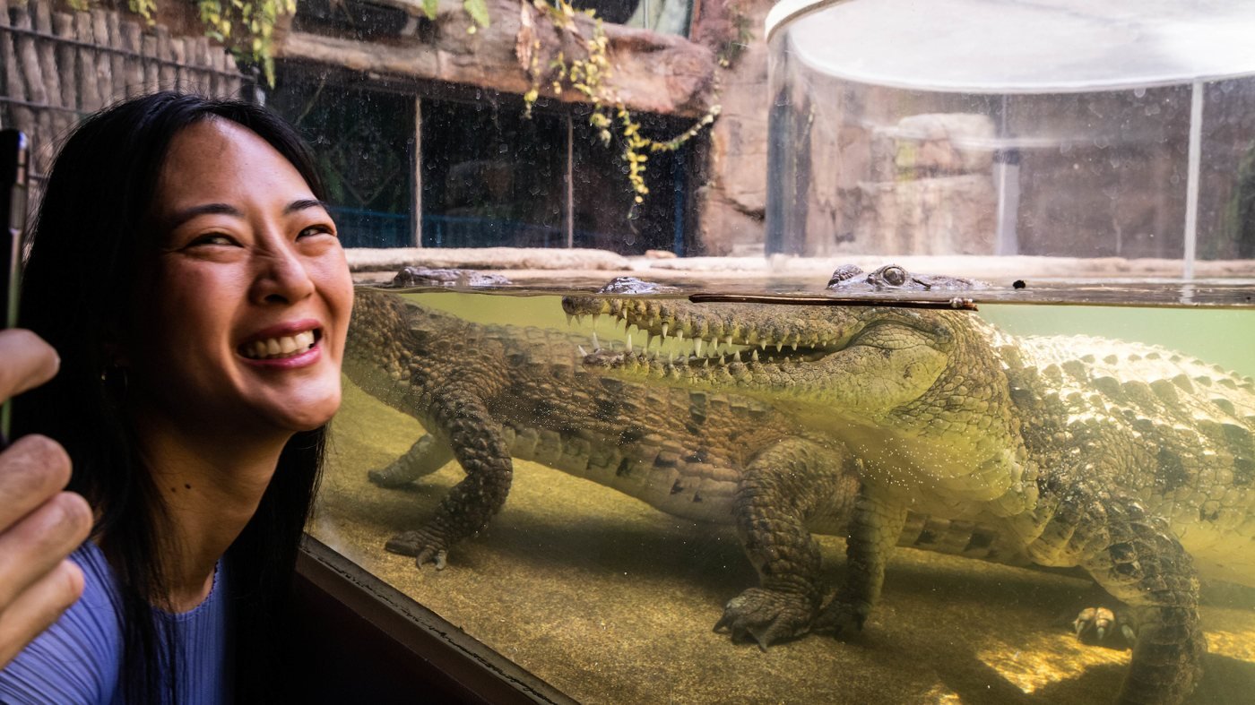 WILD LIFE Sydney Zoo Direct Entry Ticket