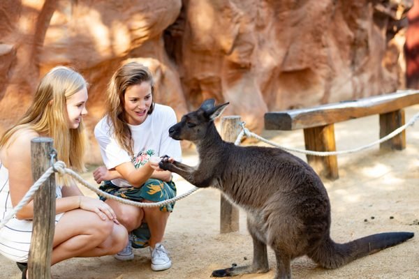 WILD LIFE Sydney Zoo Direct Entry Ticket | Book Online