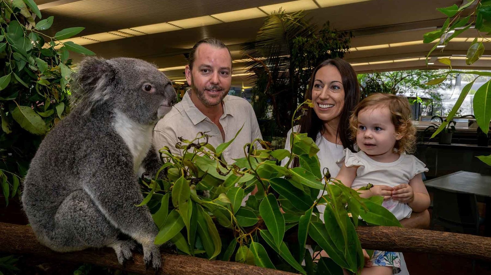 Wildlife Habitat Port Douglas Ticket