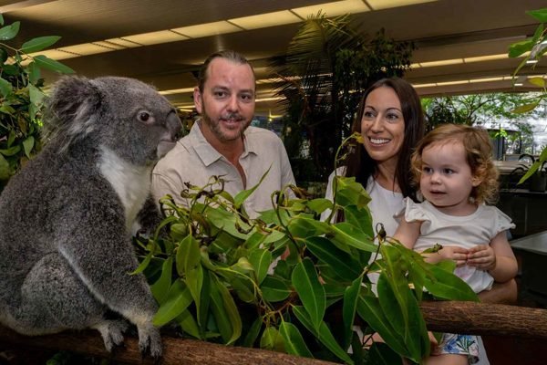 Wildlife Habitat Port Douglas Ticket | Book Online