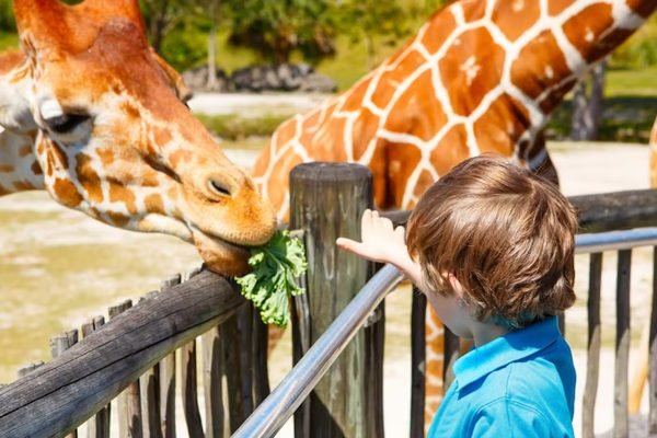 Zoo Miami Ticket | Book Online