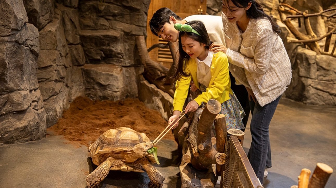 Zoolung Zoolung Indoor Animal Theme Park Ticket