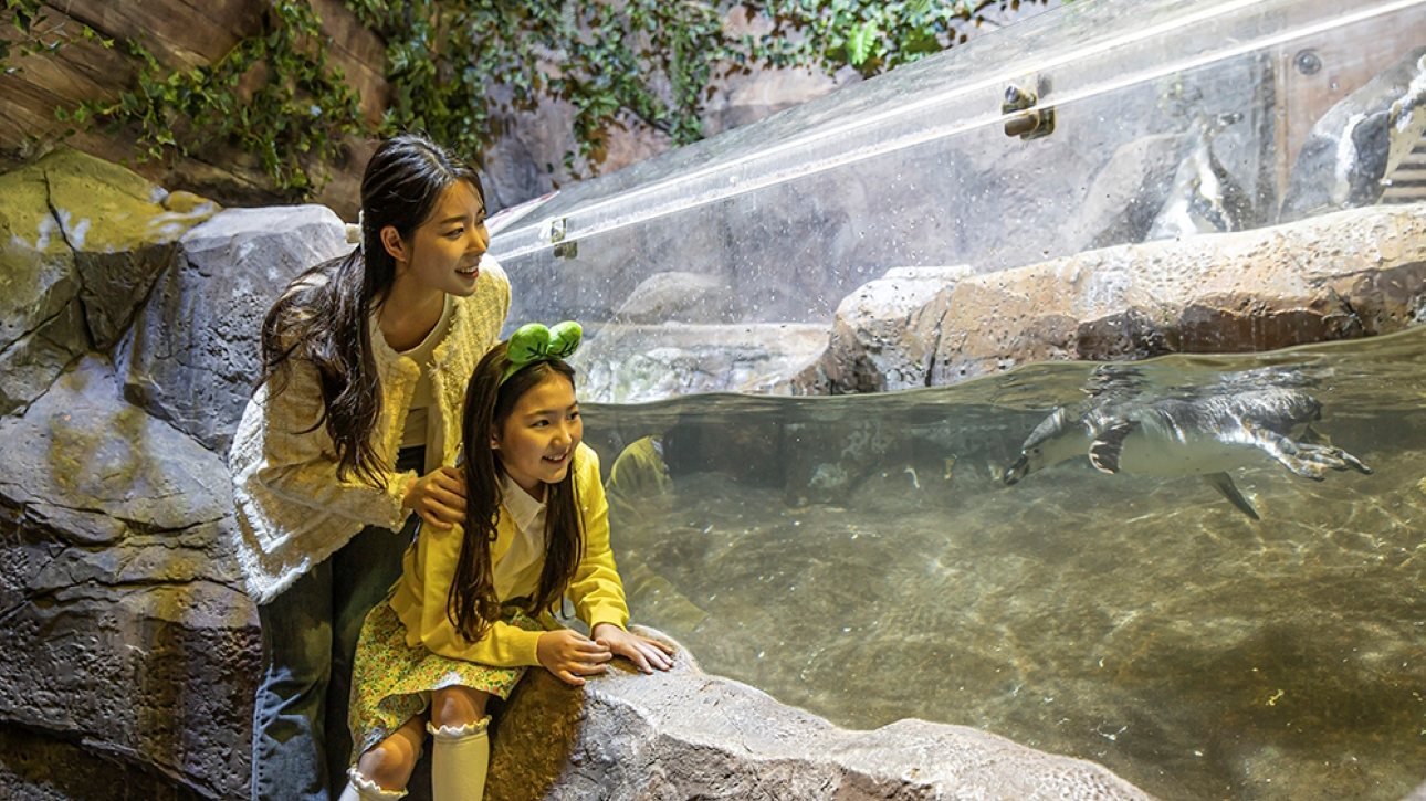 Zoolung Zoolung Indoor Animal Theme Park Ticket