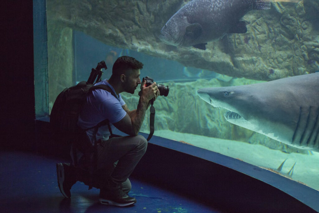 Atlantis Lost Chambers Aquarium