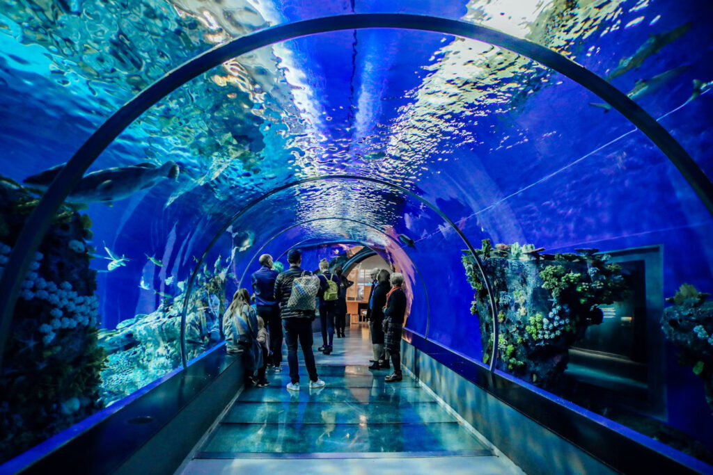 Lost Chambers Aquarium Dubai