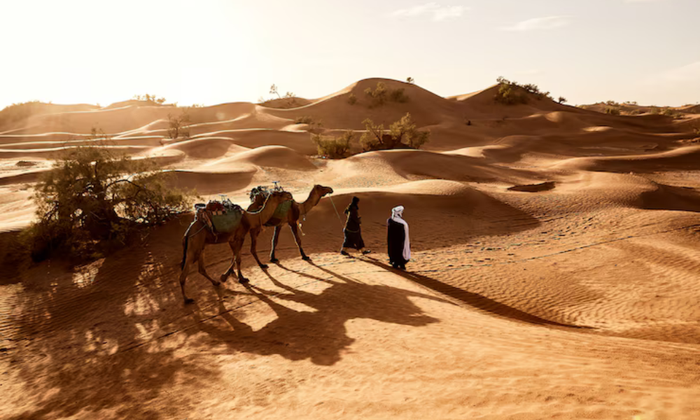Dubai Desert Safari 2025: A Journey Through Adventure and Culture