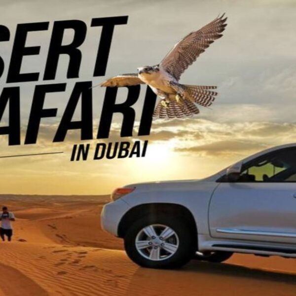 The Best Time To Visit Dubai