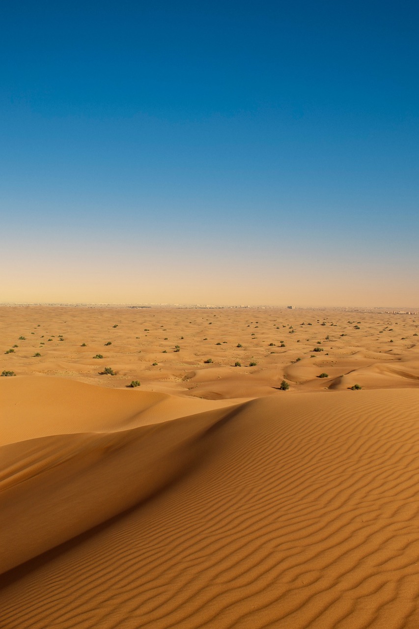 Dubai al Lisaili